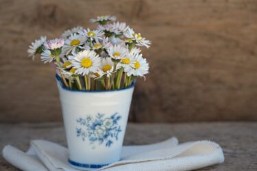 新鎌ヶ谷でおすすめの花屋3選！おしゃれな花屋や安い花屋を厳選