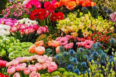 天神橋 天満 中崎町でおすすめの花屋13選 おしゃれな花屋や安い花屋を厳選 フルール ドゥ ソルシエ