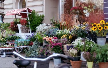 藤沢でおすすめの花屋12選！おしゃれな花屋や安い花屋を厳選