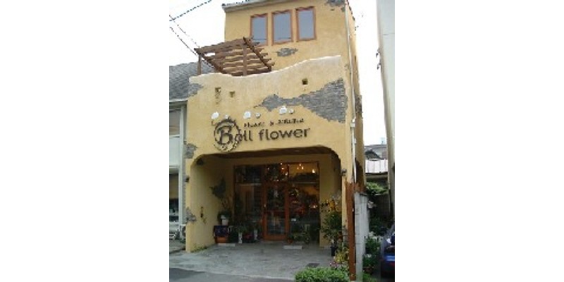 maebashi-bellflower.img