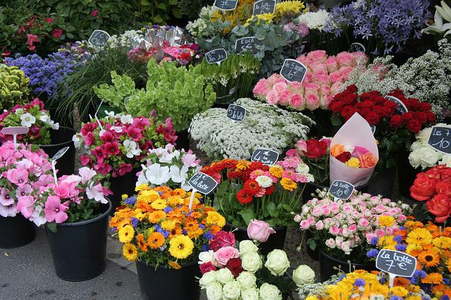 銀座でおすすめの花屋14選 おしゃれな花屋や安い花屋を厳選 フルール ドゥ ソルシエ