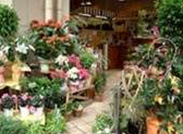 上野 御徒町 湯島でおすすめの花屋13選 おしゃれな花屋や安い花屋を厳選 フルール ドゥ ソルシエ