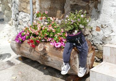 田無のおすすめの花屋